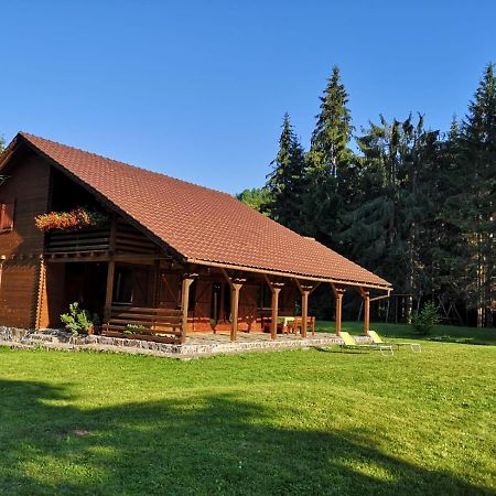 Casa De Vacanta Dintre Brazi โตปลีซา ภายนอก รูปภาพ