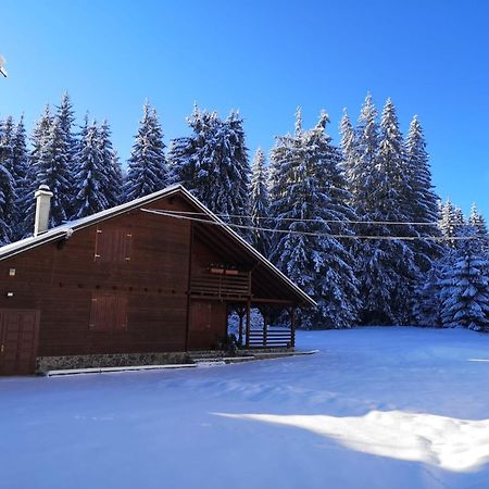 Casa De Vacanta Dintre Brazi โตปลีซา ภายนอก รูปภาพ
