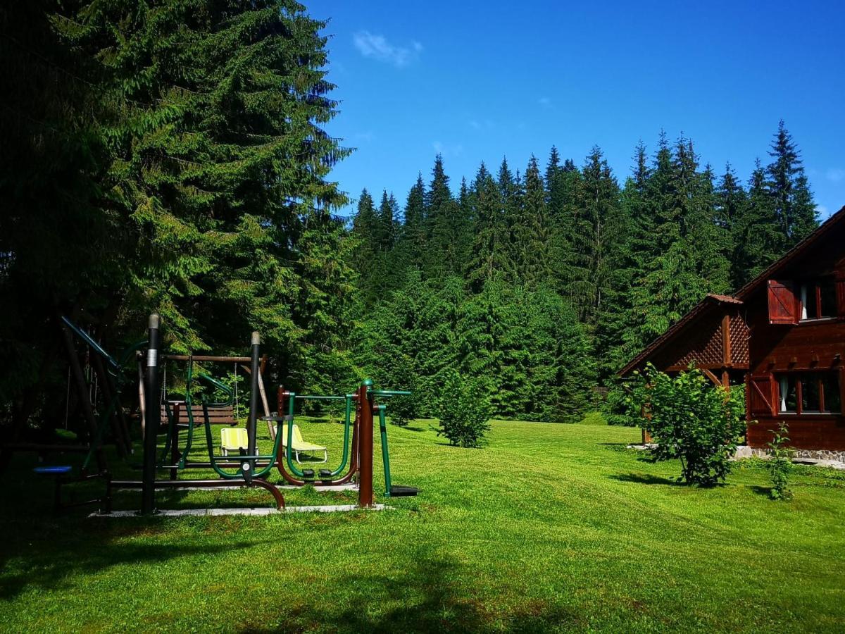 Casa De Vacanta Dintre Brazi โตปลีซา ภายนอก รูปภาพ