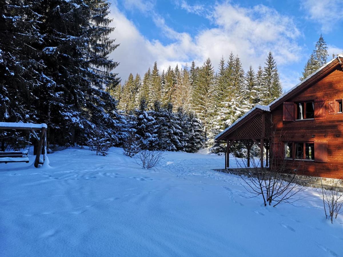 Casa De Vacanta Dintre Brazi โตปลีซา ภายนอก รูปภาพ